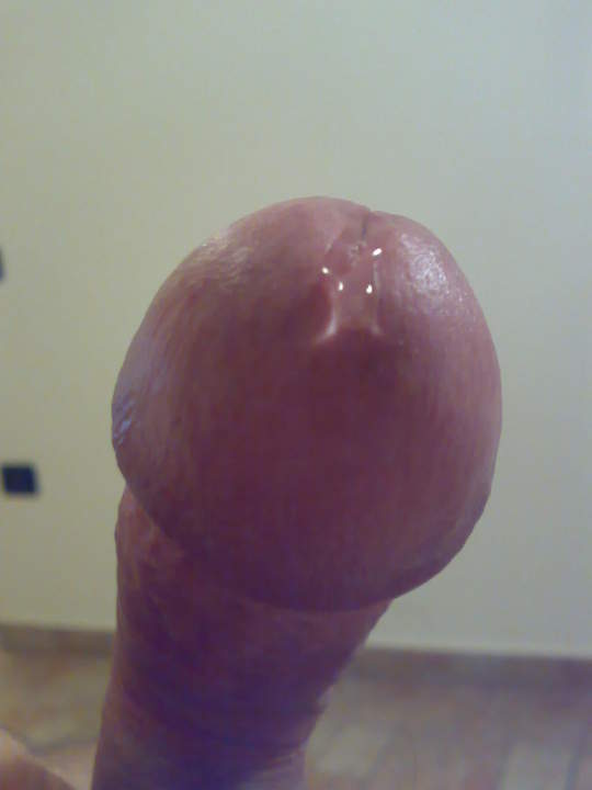 Adult image from roccotano