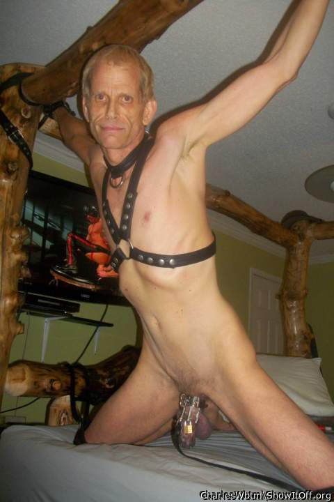 Adult image from CharlesWbtm