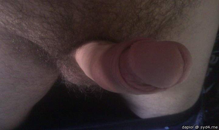 Adult image from dapiol