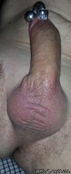 Adult image from WILLI2