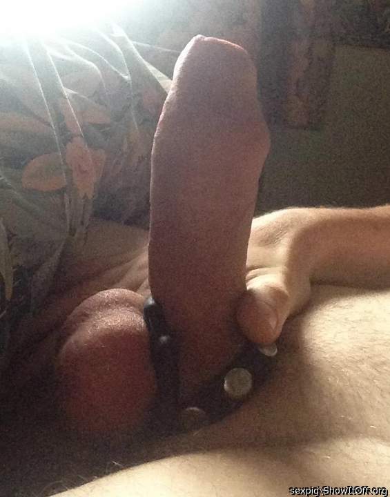Adult image from sexpig