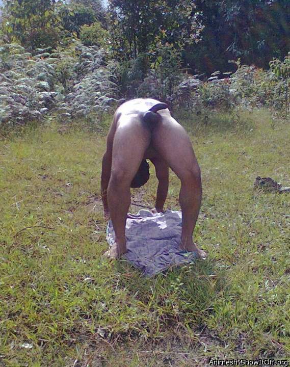 Adult image from Animesh