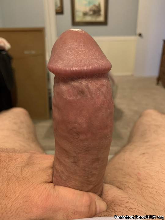 Adult image from Plantation