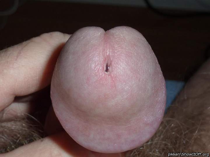 Gorgeous head....great closeup !!