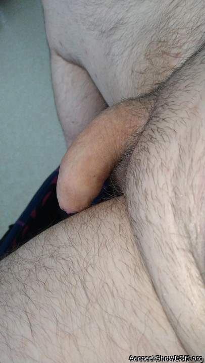 Adult image from Aaccee