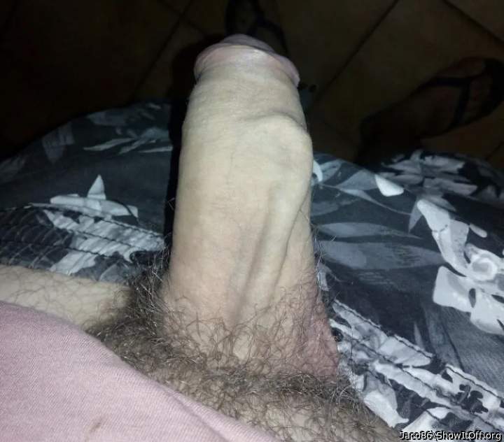 Adult image from Jaco86