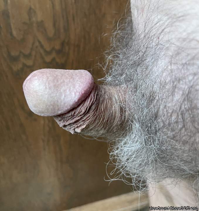I'm so glad you keep your dick hairy 