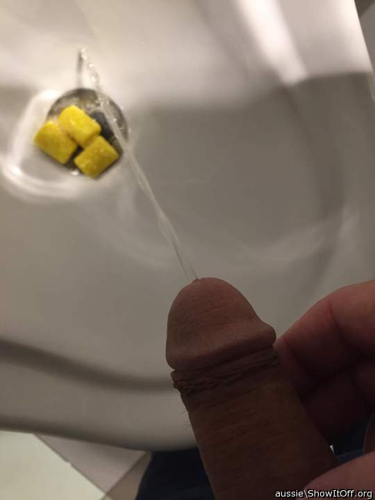 Adult image from aussie