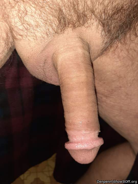 Adult image from Denpenn