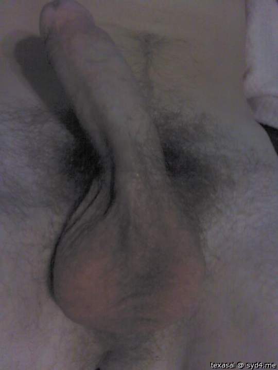 Adult image from texasal