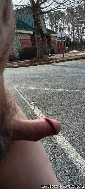 Adult image from tbird3030