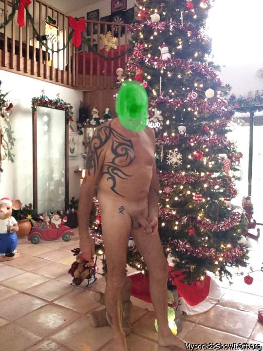Adult image from Mycock2