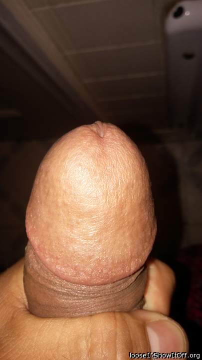 Adult image from Roksolid