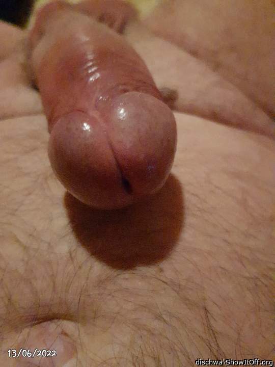 Adult image from dischwa