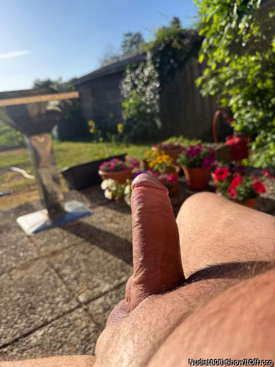 Lovely view...lovely cock..!!  