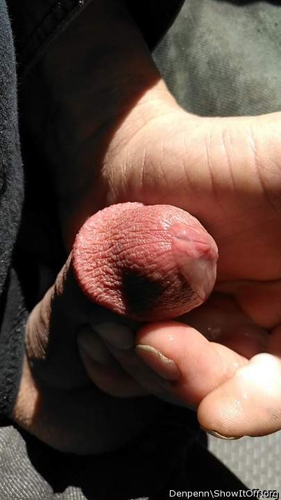 Adult image from Denpenn