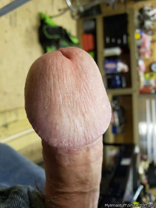 Adult image from Mylimastuff