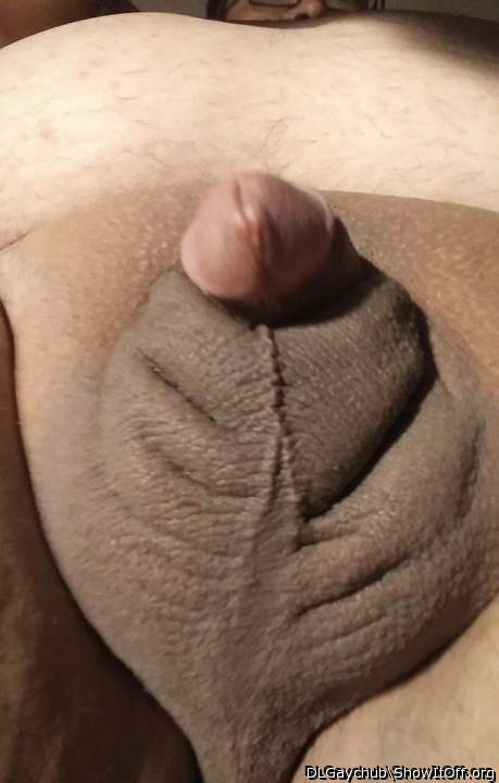 Adult image from DLGaychub