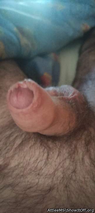 Adult image from AttleeMS