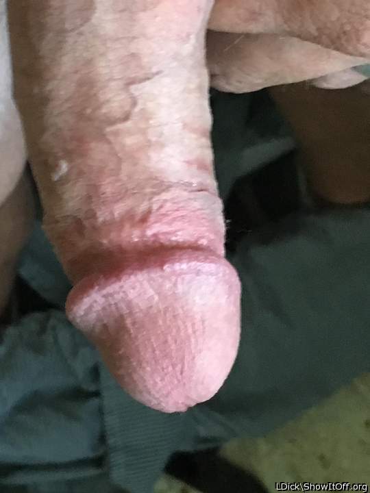 Adult image from LDick