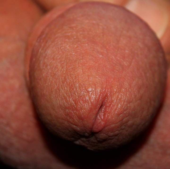 Adult image from lilsoftee