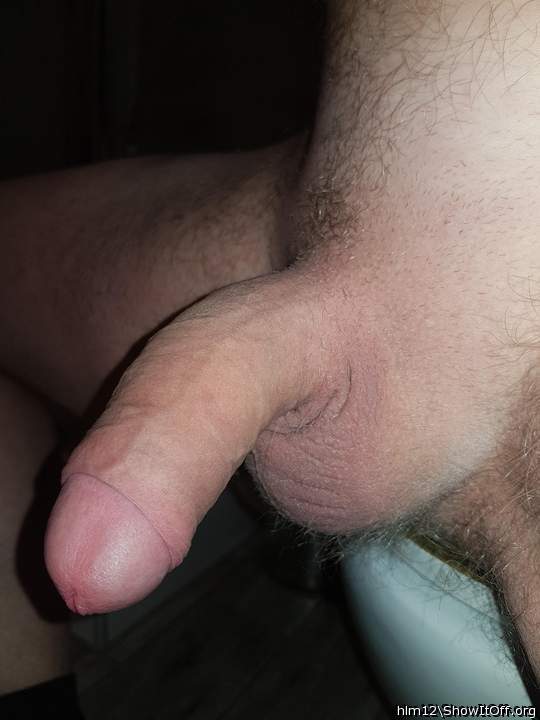 Adult image from hlm12
