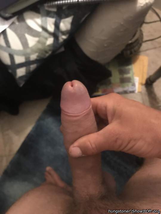 Adult image from hungstoner