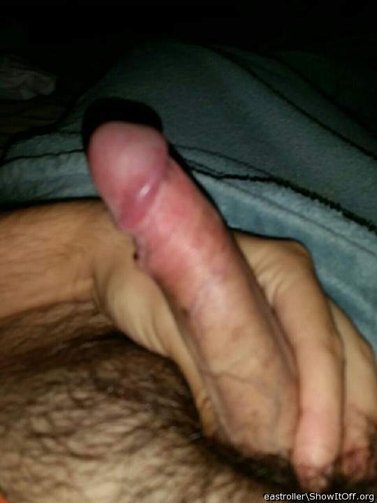 Adult image from *Humpy_Rugmuncher