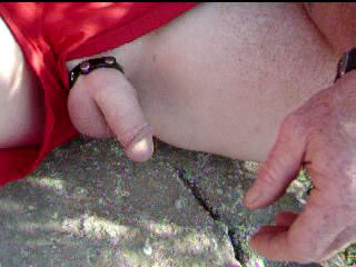 Adult image from davidmw