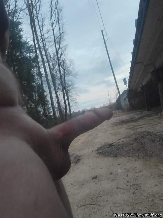 Adult image from Wes1022