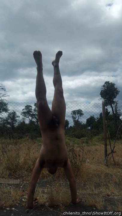Adult image from chilenito_thno