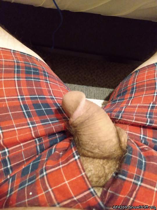 Adult image from Alf4269