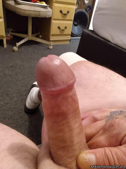 Adult image from Alf4269