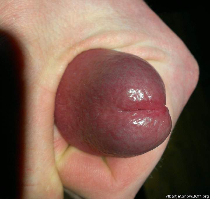 Adult image from vtbartje