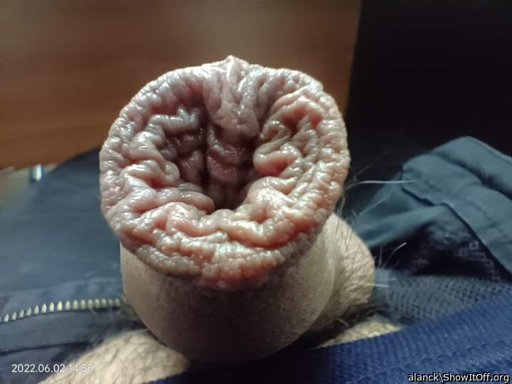 hot foreskin!    👅