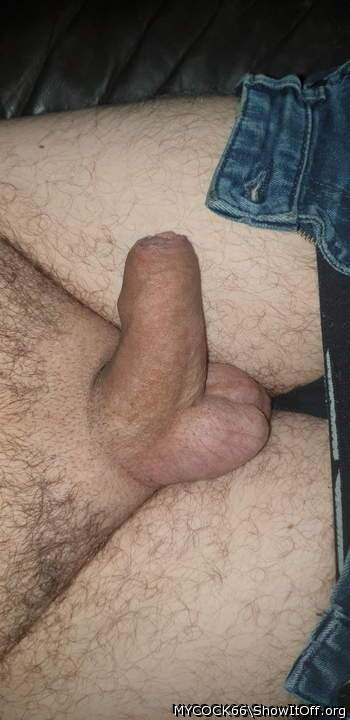 Adult image from MYCOCK66