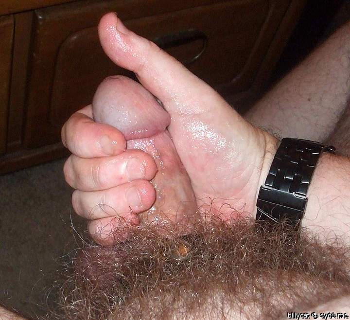 Adult image from billycat