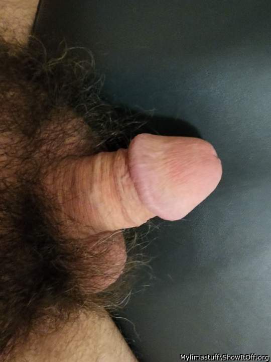 Beautiful circumcised penis 
