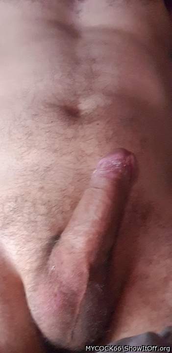 Adult image from MYCOCK66