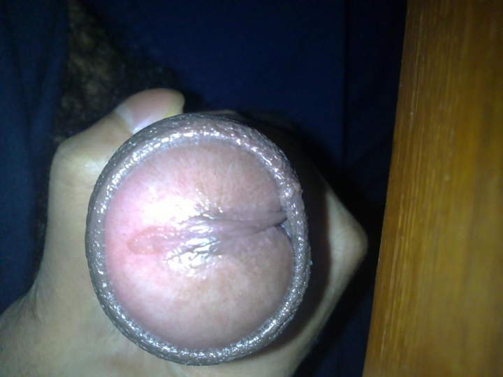 Adult image from nicedices