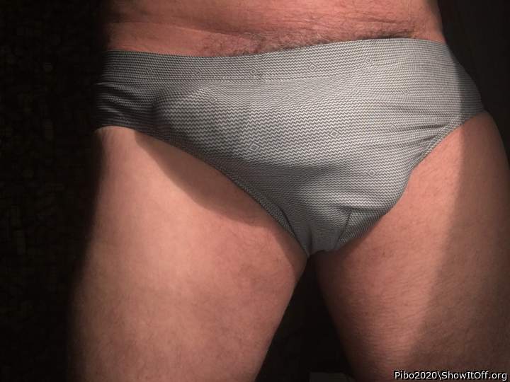 Adult image from Pibo2020