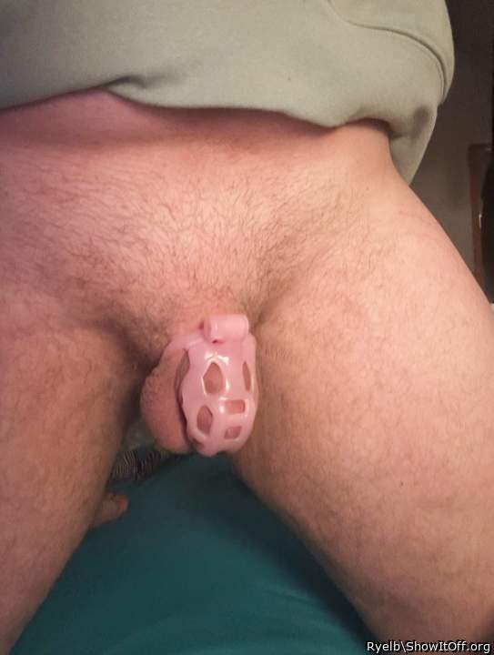Adult image from Ryelb