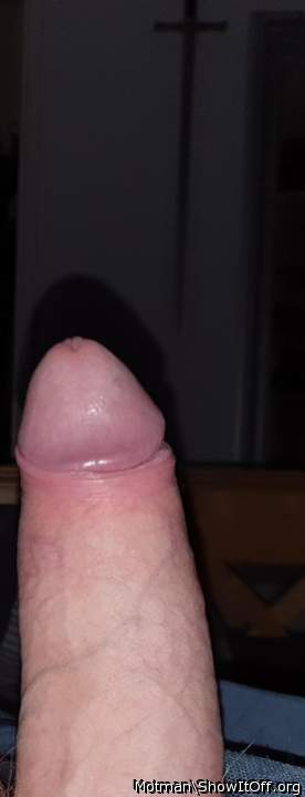 Adult image from Motman
