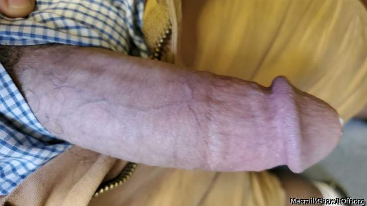 Beautiful cock!