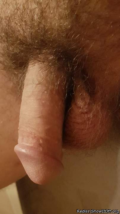 Adult image from Rediss