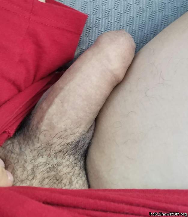 Adult image from RA6