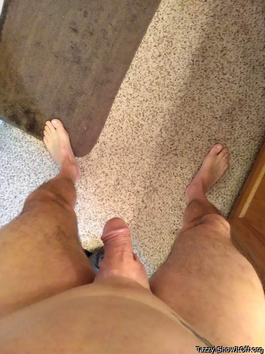 Adult image from Tazzy