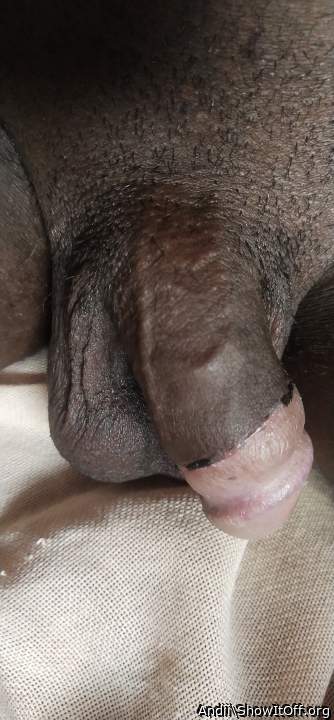 Adult image from Andii