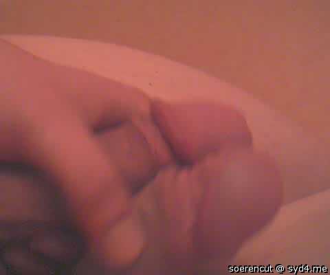 Adult image from Soerencut