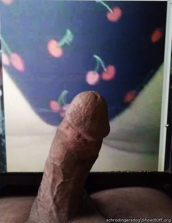 Adult image from schrodingersdog